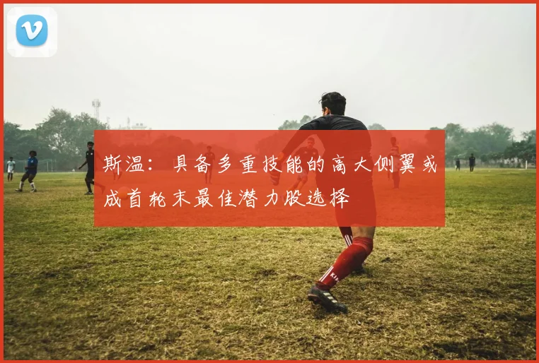 斯温：具备多重技能的高大侧翼或成首轮末最佳潜力股选择
