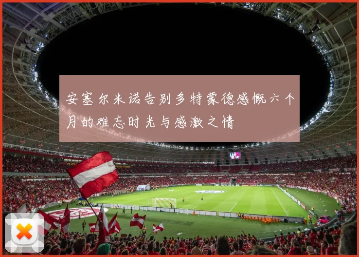 安塞尔米诺告别多特蒙德感慨六个月的难忘时光与感激之情